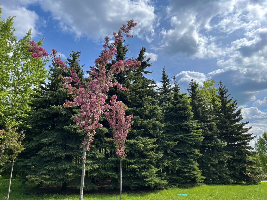 Май Москва - Александр Конов Май Москва - Александр Конов