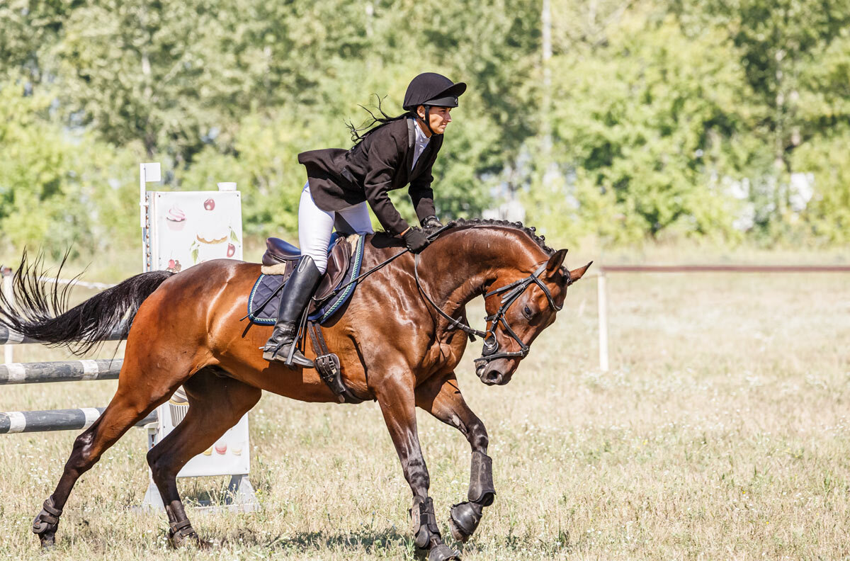 Конкур - SanSan 