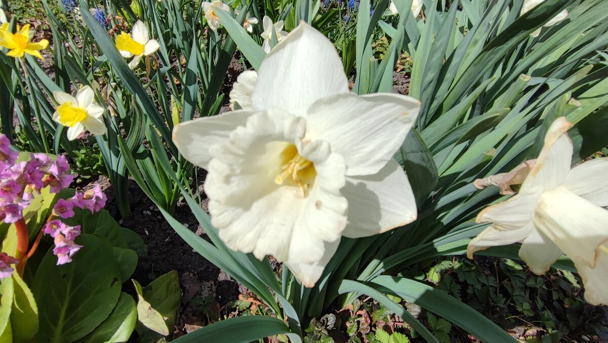 ,,, - Сергей Тимоновский