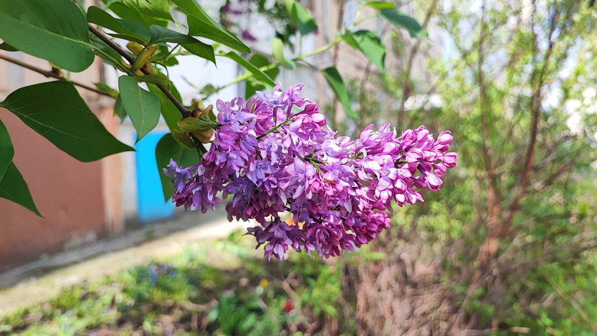 ,,, - Сергей Тимоновский ,,, - Сергей Тимоновский