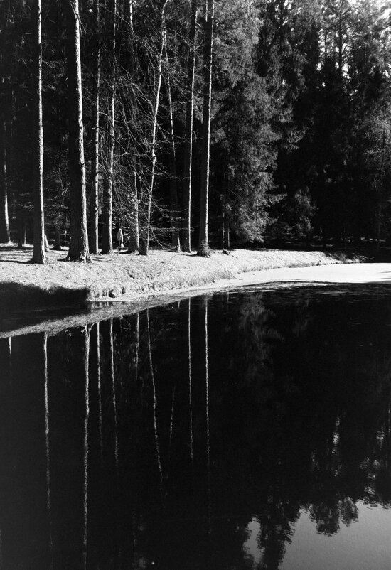 Зеркальный пруд в Михайловском. Фото на плёнку - Олег Зоркий Зеркальный пруд в Михайловском. Фото на плёнку - Олег Зоркий