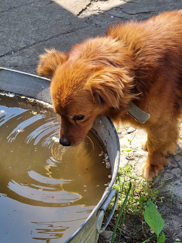 Водички попить... - Наталья 