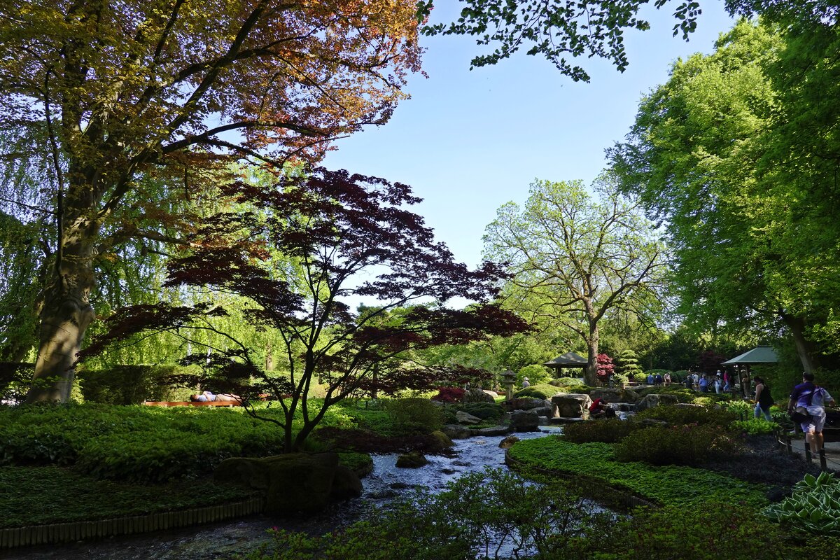 Японский садик...... - Галина Японский садик...... - Галина