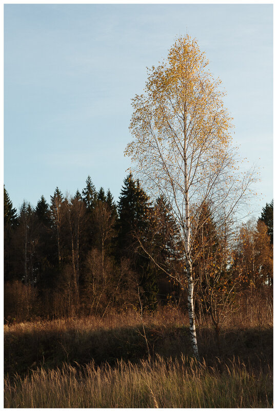 *** - someone somewere