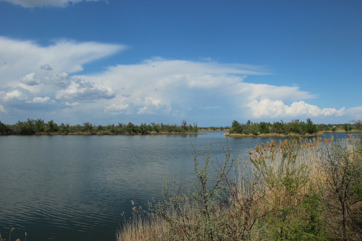 Донские виды. - Виктор 