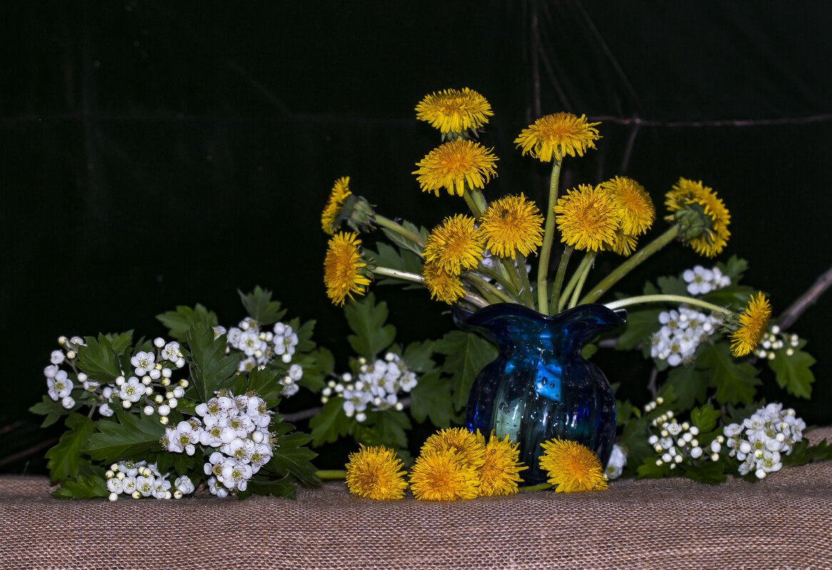 одуванчики - Наталья Крюкова одуванчики - Наталья Крюкова