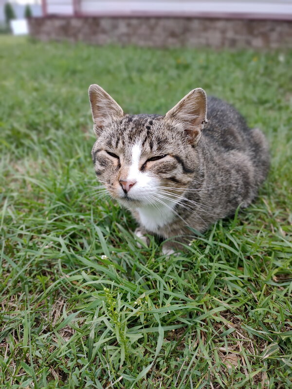 А расскажи ещё раз, как вы меня нашли. С самого начала. - Валерий Судачок А расскажи ещё раз, как вы меня нашли. С самого начала. - Валерий Судачок