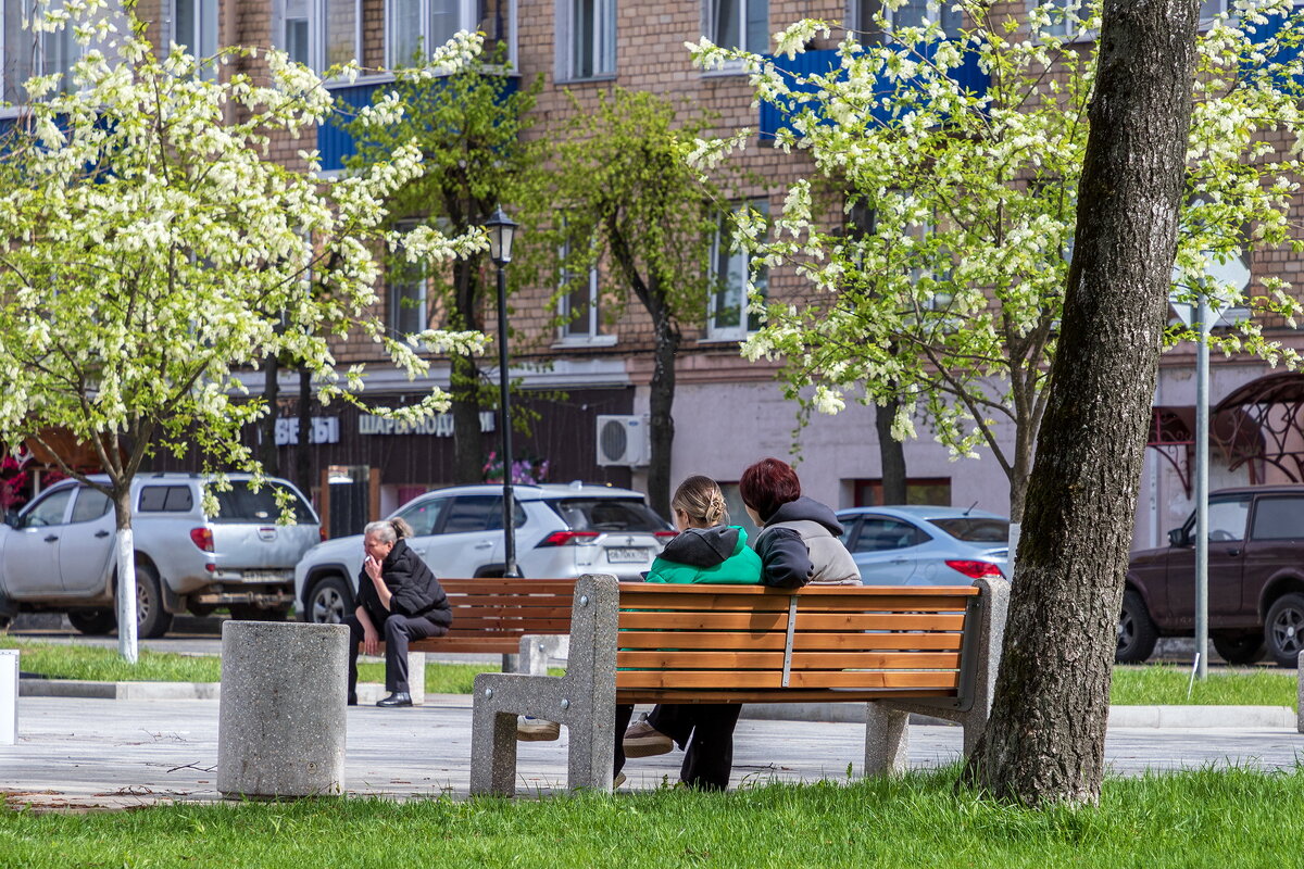 Весна иногда посещает Дмитров. - Анатолий. Chesnavik. Весна иногда посещает Дмитров. - Анатолий. Chesnavik.