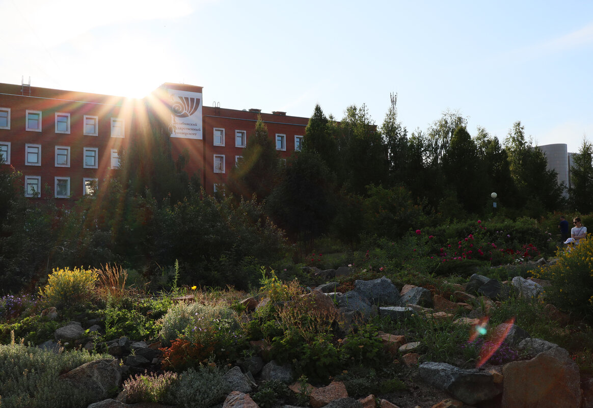 Лучики солнца - Дмитрий Петров