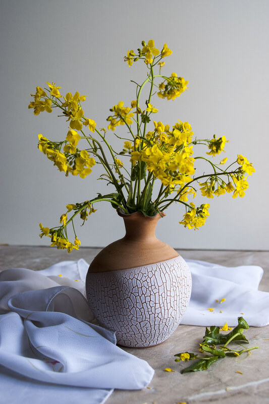 Букетик рапса - Елена Пономарева Букетик рапса - Елена Пономарева