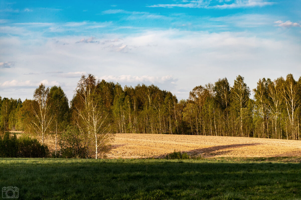 Вечер - Александр 