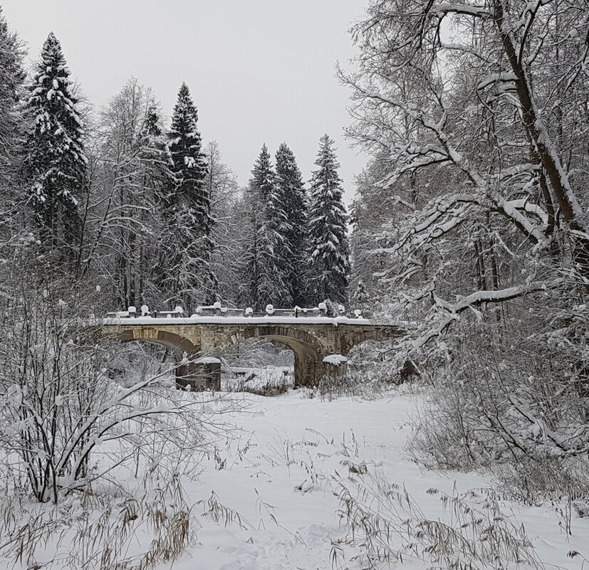 Опять зима.... - Юля Сrane