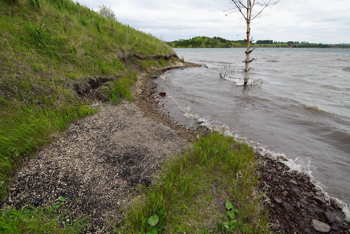 Старые отвалы... - Николай Гирш