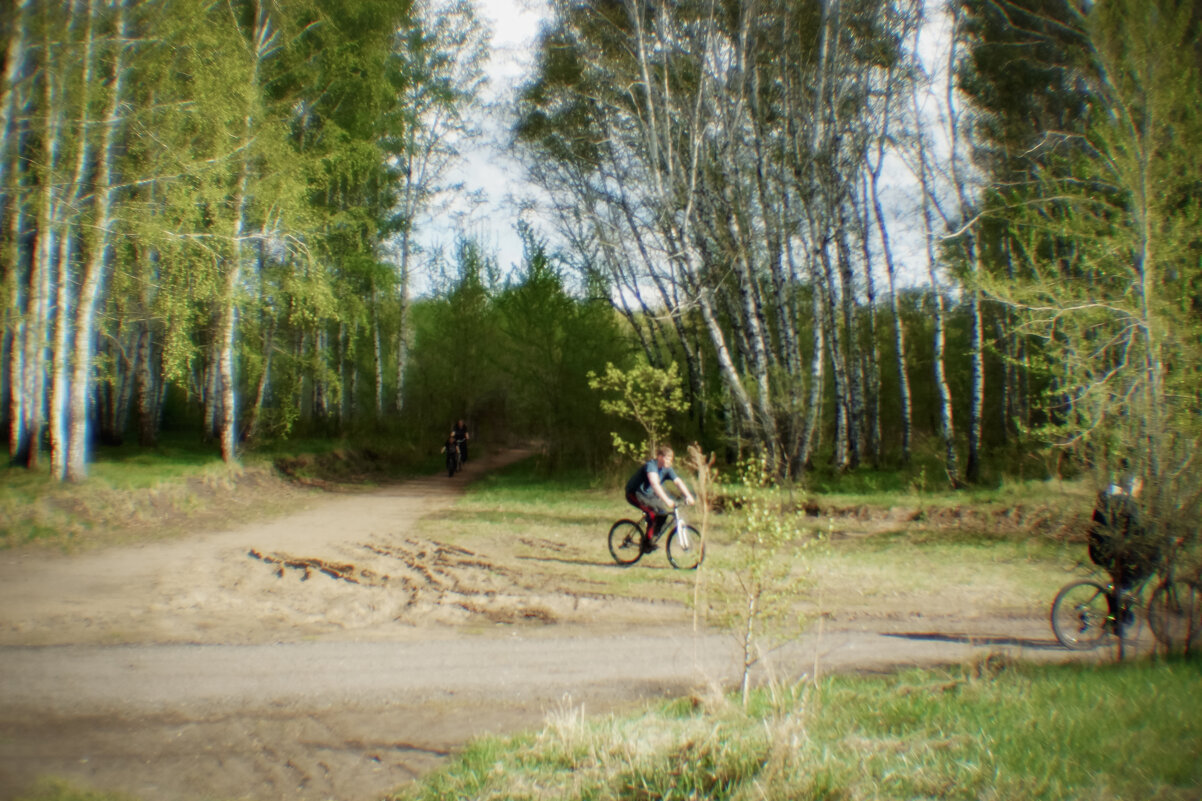 Велопрогулка - Сергей Царёв Велопрогулка - Сергей Царёв