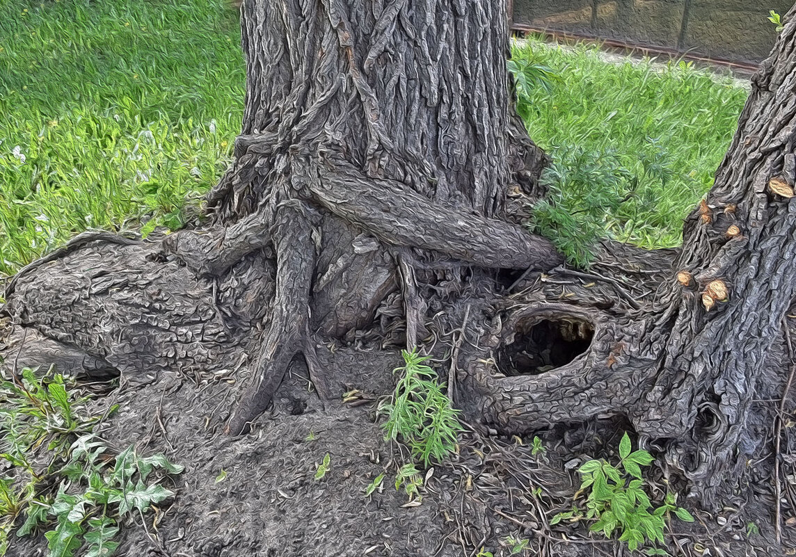 Интересная находка! - Валентина  Нефёдова 