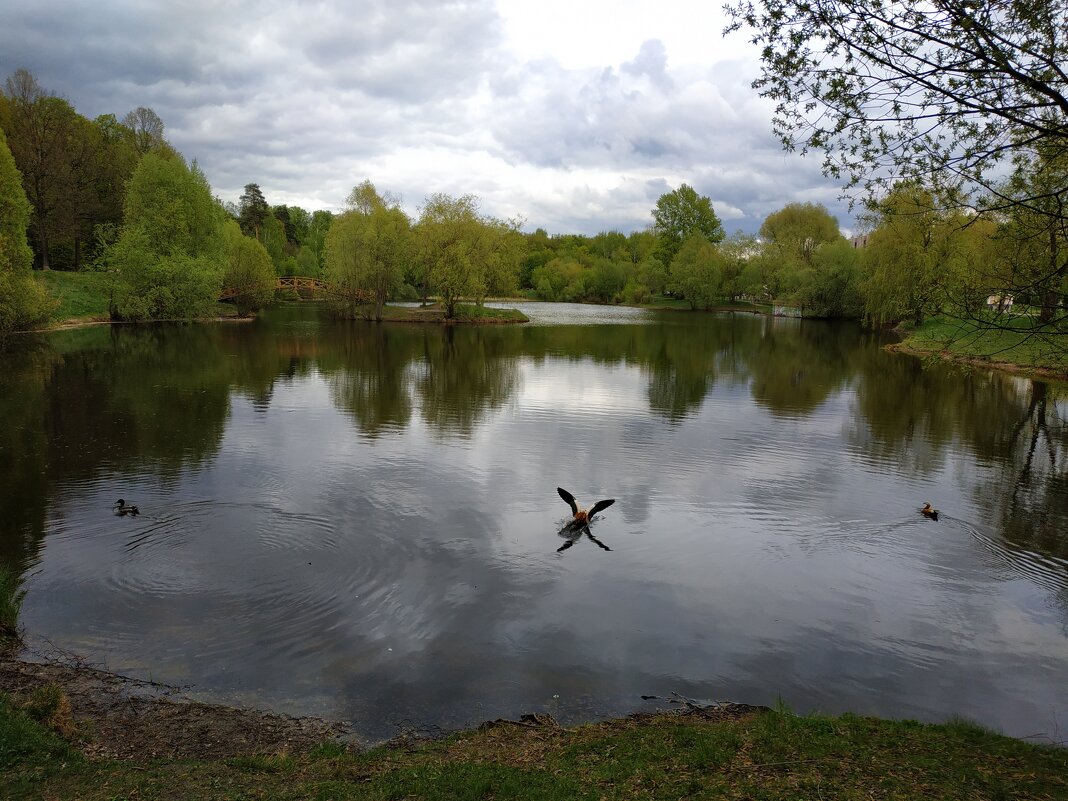 * * * - Андрей Лукьянов * * * - Андрей Лукьянов