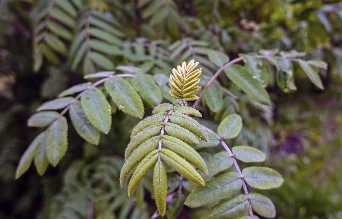 Молоденький - Валерий Иванович Молоденький - Валерий Иванович