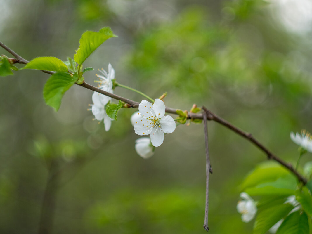 ___ - Yuriy V ___ - Yuriy V