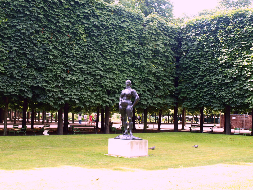 Париж. - Владимир Драгунский