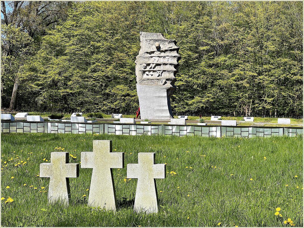 Интернациональное кладбище узников концлагеря Шталаг 1А Штаблак - Валерия Комова Интернациональное кладбище узников концлагеря Шталаг 1А Штаблак - Валерия Комова