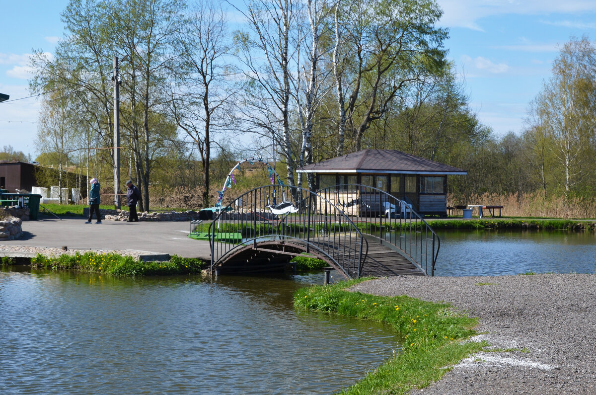 Московская область. г. Пушкино. Осетровая ферма. - Наташа ***** Московская область. г. Пушкино. Осетровая ферма. - Наташа *****