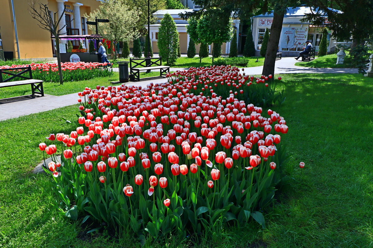 *** - Игорь Kуленко