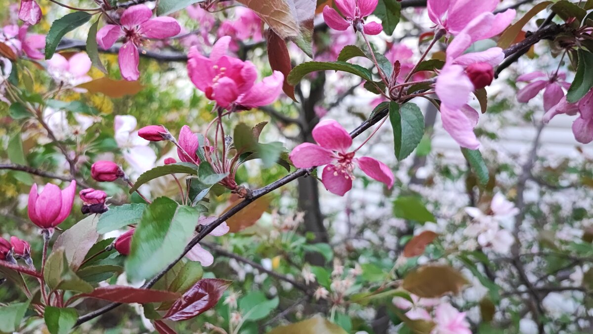 ,,, - Сергей Тимоновский