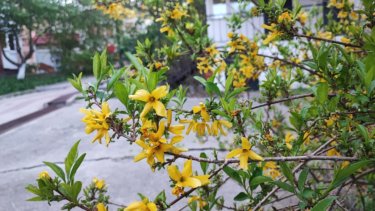 ,,, - Сергей Тимоновский