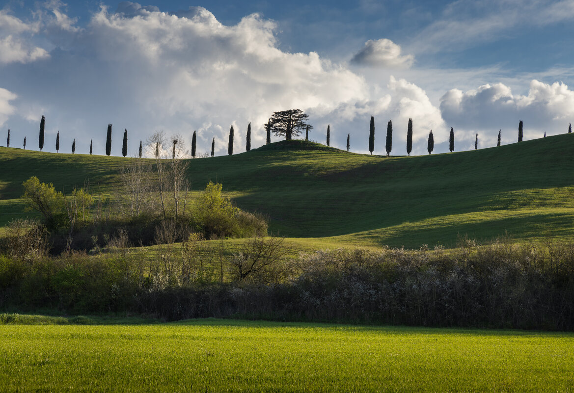 Тоскана - Алекс Римский Тоскана - Алекс Римский