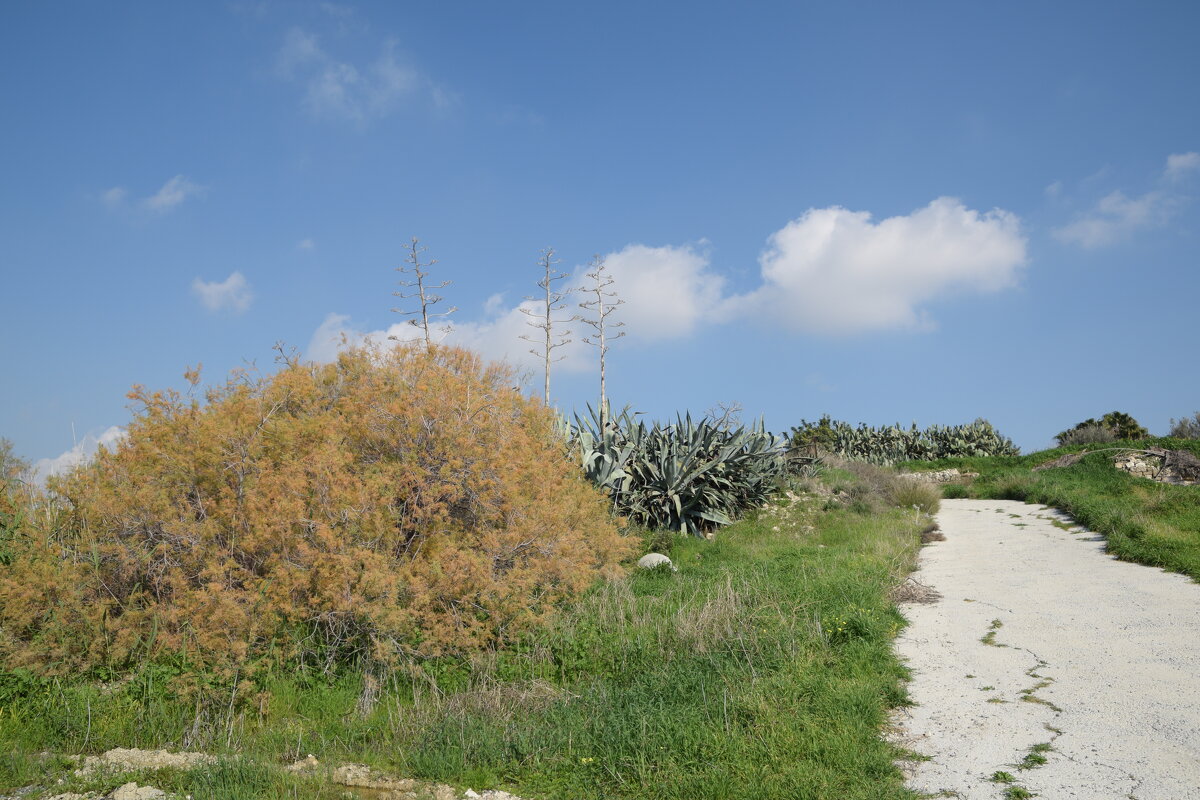 Пейзаж. Кипр - Oleg4618 Шутченко