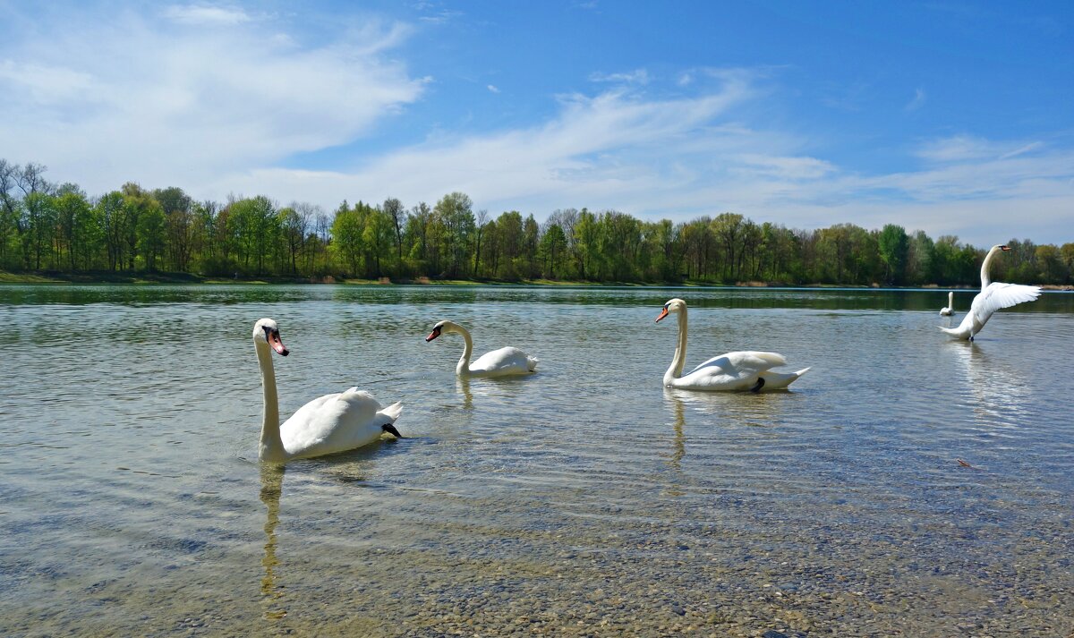 Радуясь теплому дню...... - Галина Радуясь теплому дню...... - Галина