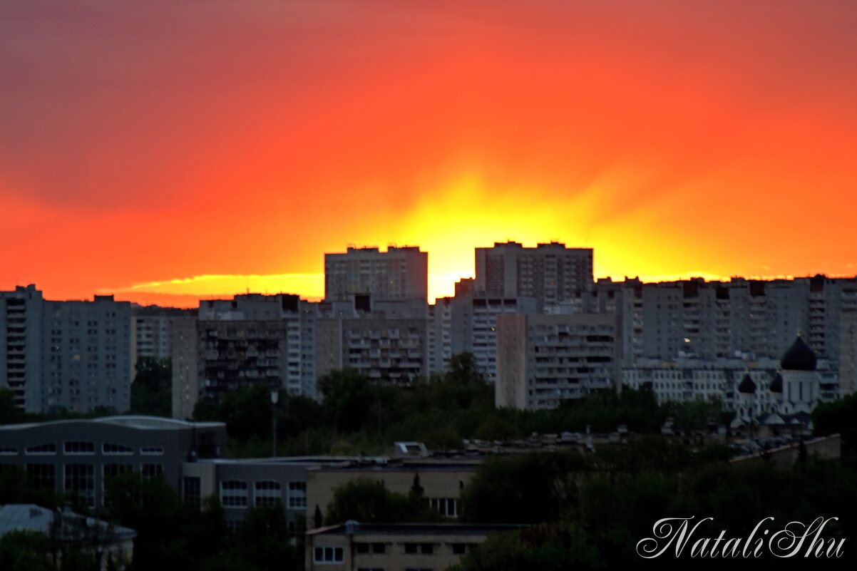 Вид из окна. - Наталья Вязигина