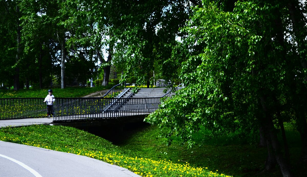 Начало мая. - Василий Палий Начало мая. - Василий Палий