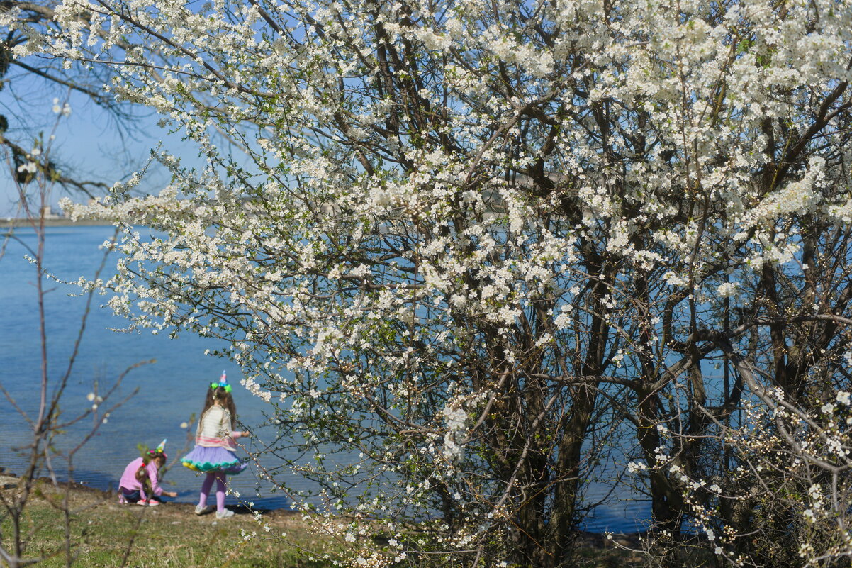 День рождения - Всеволод 
