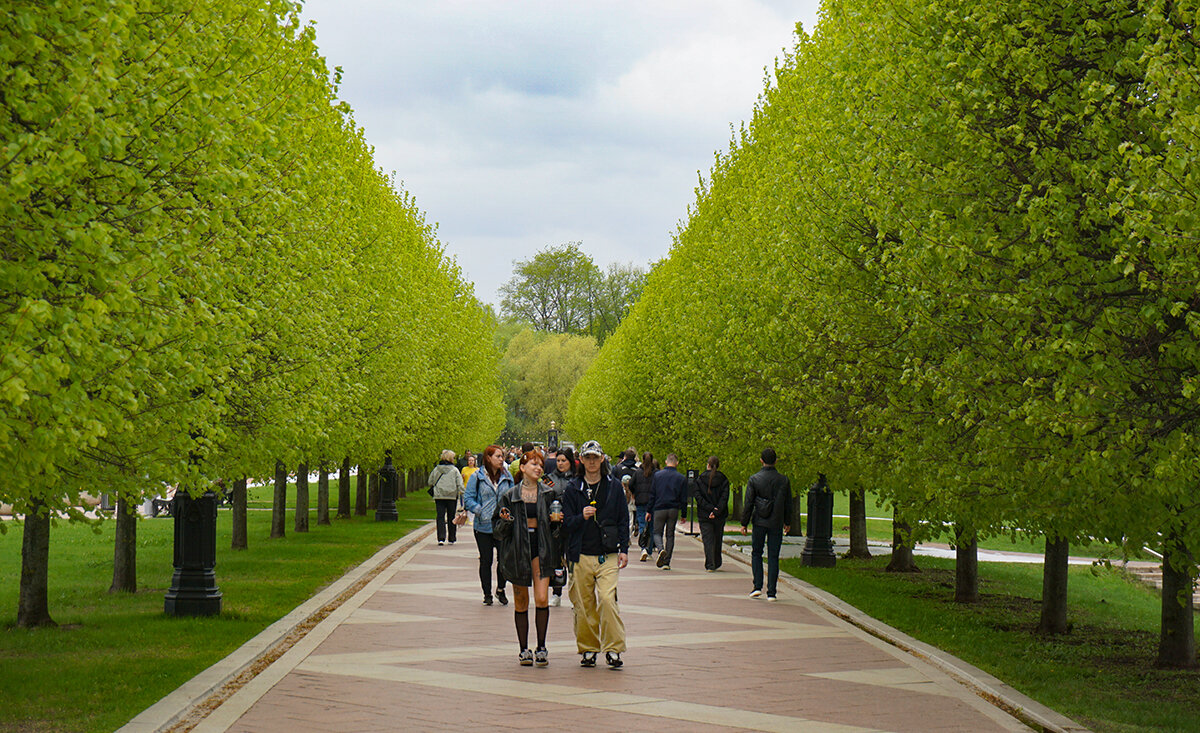 Нежная зелень весны - Ольга 