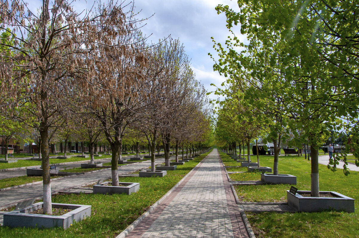 Назрань. Мемориал "Девять башен" - Gen Назрань. Мемориал "Девять башен" - Gen