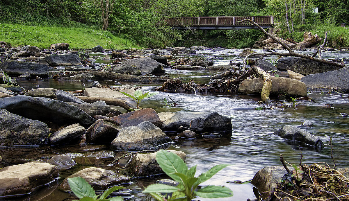 После паводка - Андроник Александр После паводка - Андроник Александр