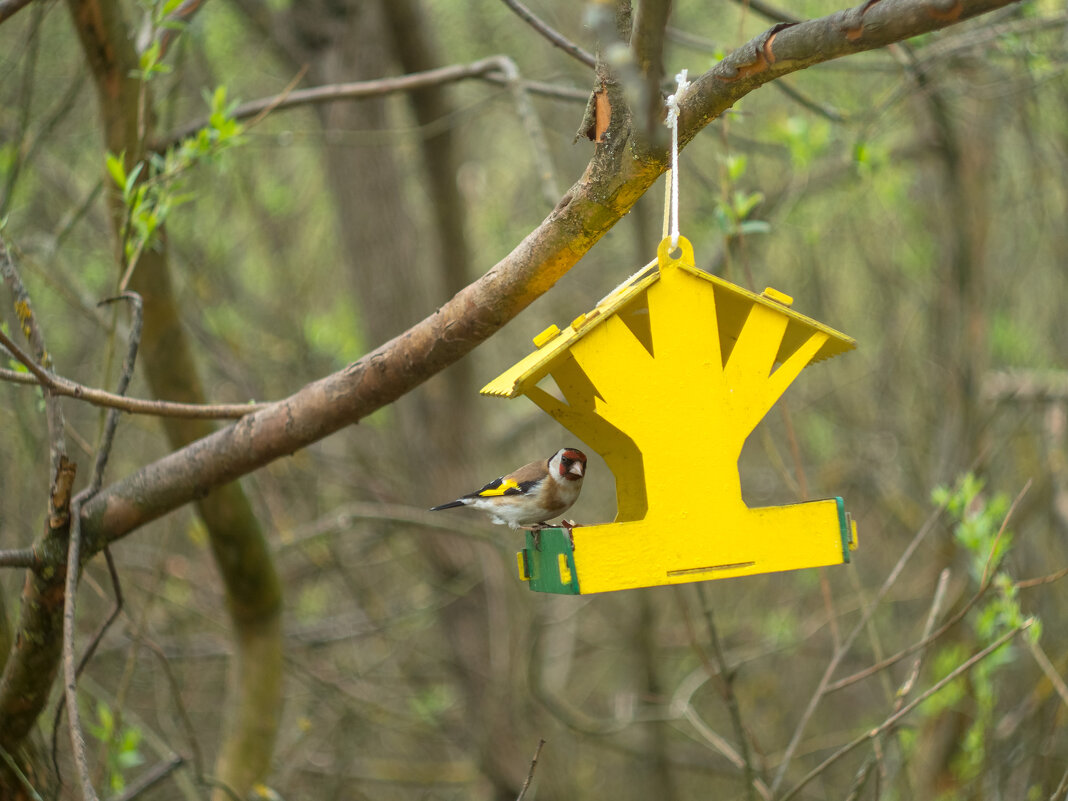 ___ - Yuriy V ___ - Yuriy V