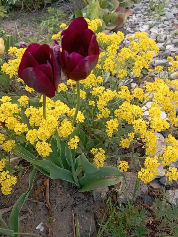 На улицах города - Елена Семигина