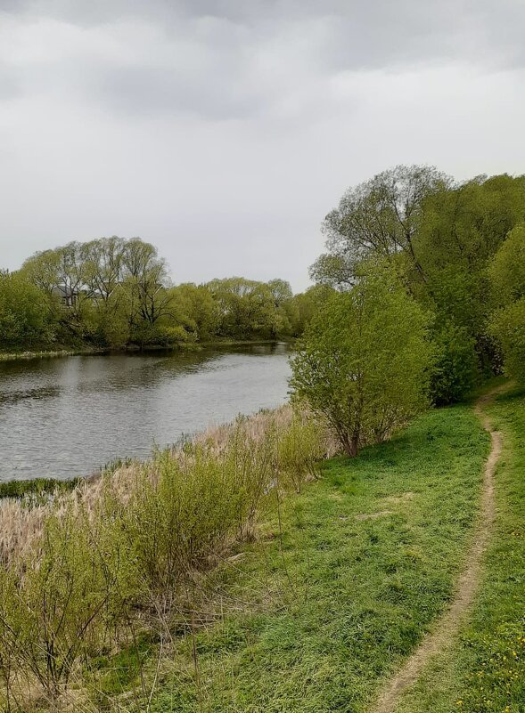 Родные просторы - Елена Семигина