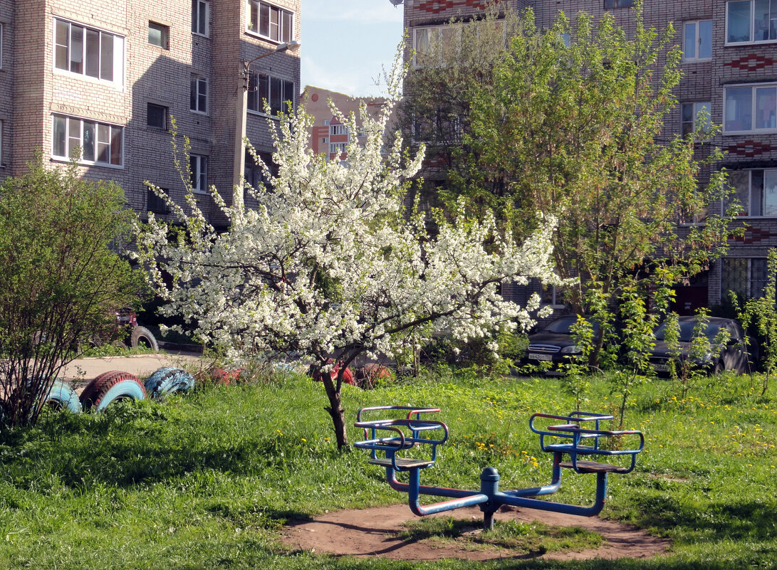 весна в городе - Ольга весна в городе - Ольга