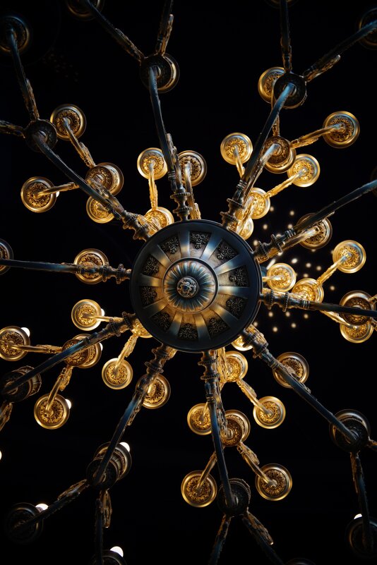 Вид снизу - Варвара Высоцкая