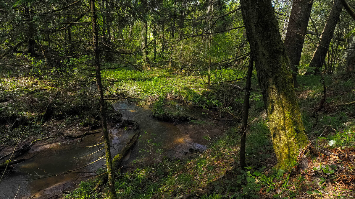 ***** - юрий поляков