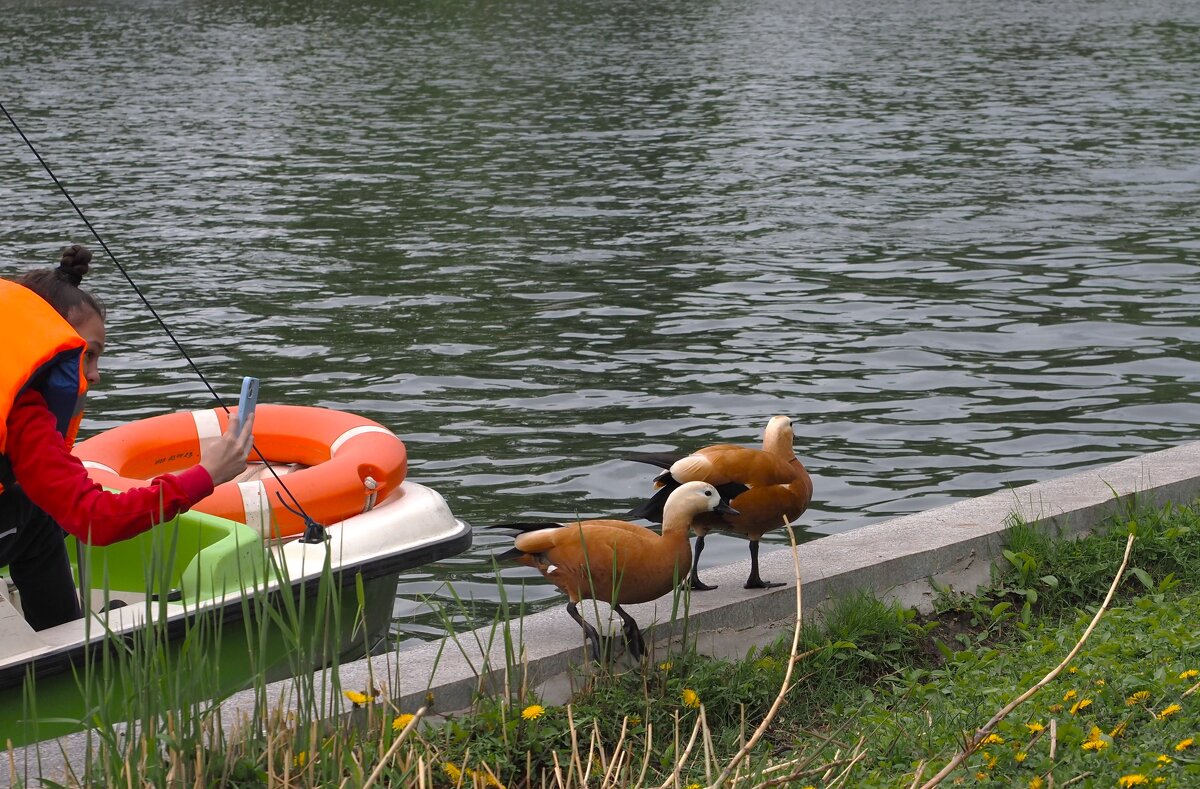 Галя, уходим! Нет покоя от этих папарацци. - Магомед . Галя, уходим! Нет покоя от этих папарацци. - Магомед .