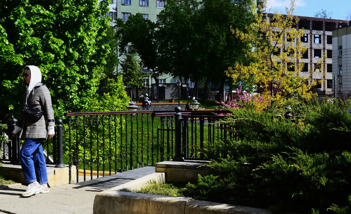 Верхняя площадка. - Василий Палий Верхняя площадка. - Василий Палий