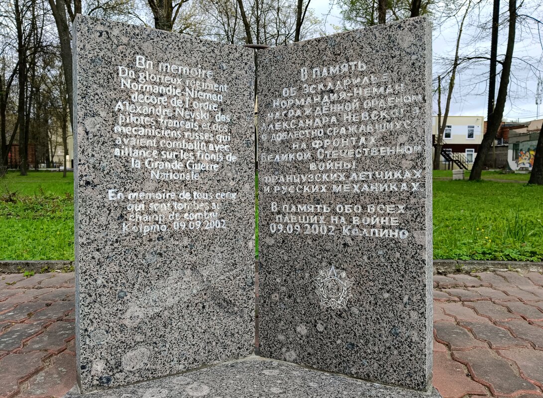 Память... - Мария Васильева