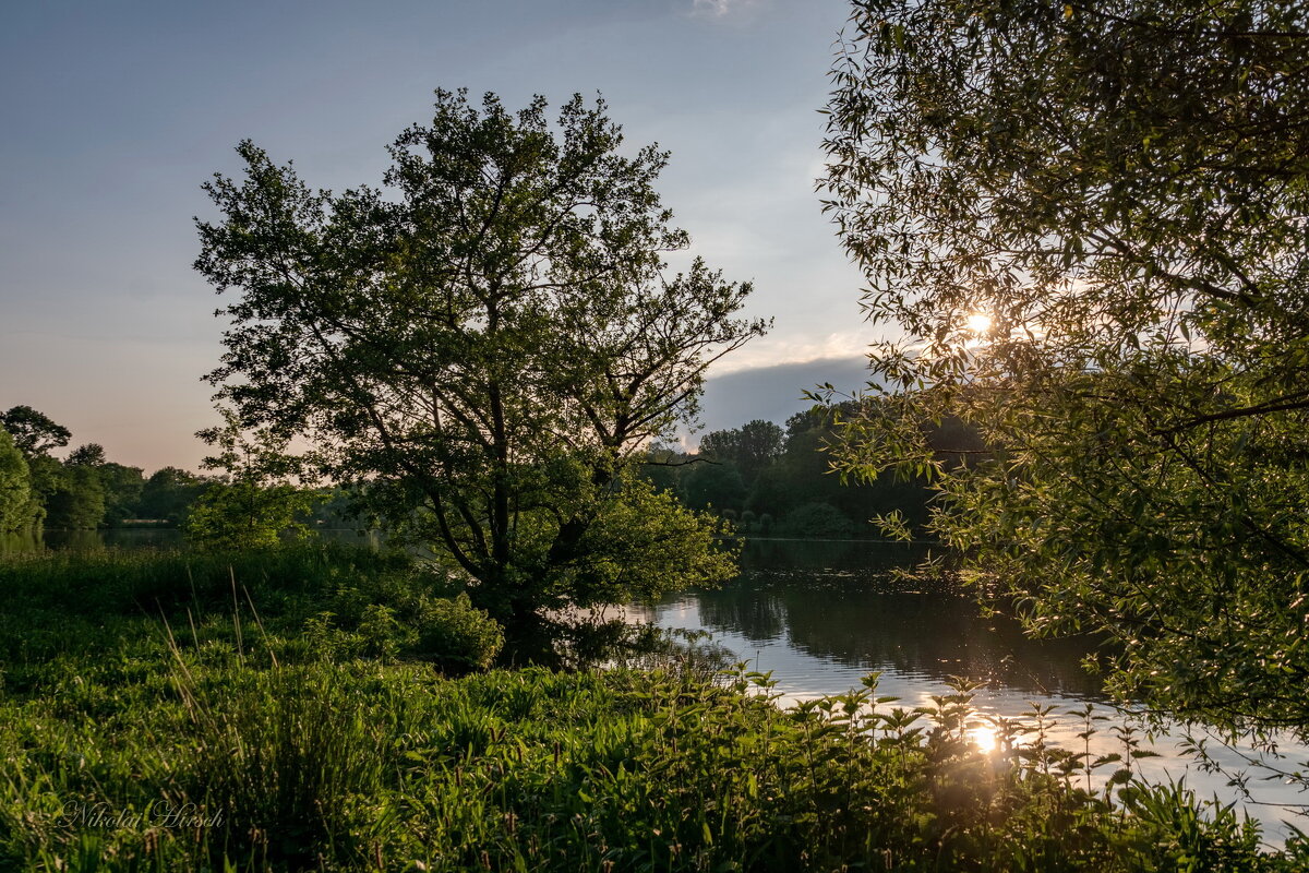 Вечерело... - Николай Гирш