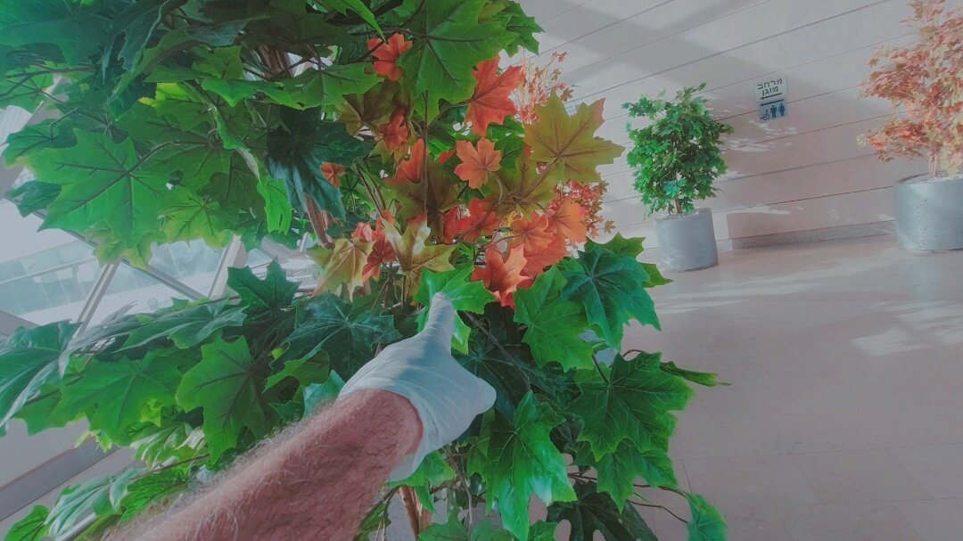 12  КЛОС (1116) - CLOSE WAYS ALL