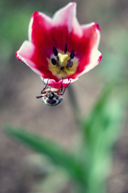 Зацепился - sorovey Sol Зацепился - sorovey Sol