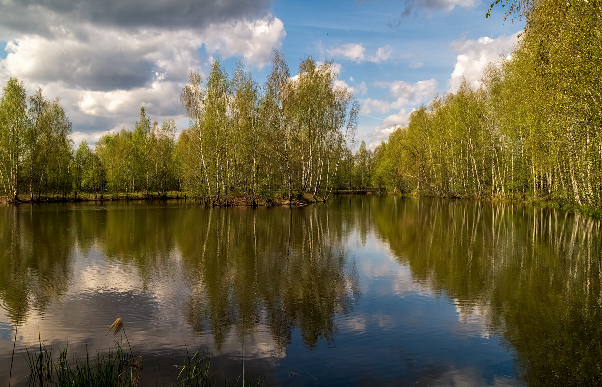 Майское утро 7 - Андрей Дворников
